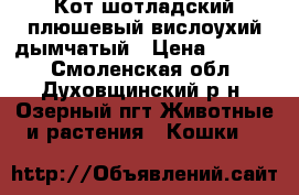 Кот шотладский плюшевый,вислоухий,дымчатый › Цена ­ 1 000 - Смоленская обл., Духовщинский р-н, Озерный пгт Животные и растения » Кошки   